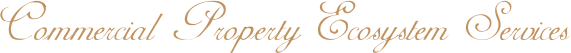 homenew1.png