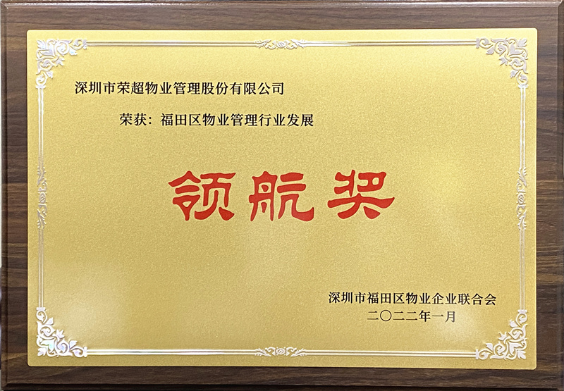 領(lǐng)航獎(jiǎng)牌匾_副本01.jpg